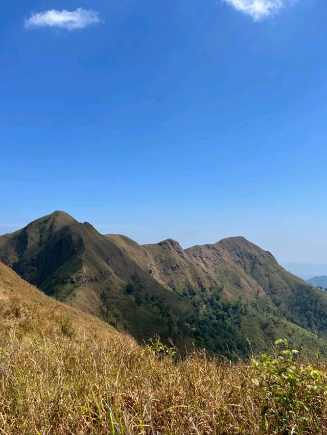 เขาช้างเผือก 