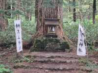 日本最優美的山岳風景勝地之一#上高地-日本長野縣