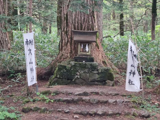 日本最優美的山岳風景勝地之一#上高地-日本長野縣
