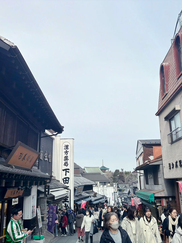 【成田山】成田空港から約40分🚃トランジット中にもおすすめのレトロ街