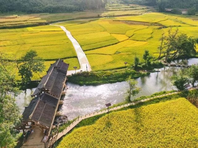 Into the Heart of Bamei: A Journey Through the Cave Village