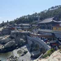 海東龍宮寺｜釜山最美海岸寺廟