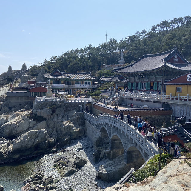 海東龍宮寺｜釜山最美海岸寺廟