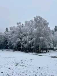 Snow-Kissed Hemu: A Hidden Gem in Xinjiang