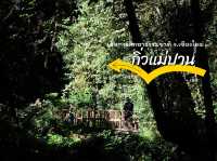เดินศึกษาเส้นทางธรรมชาติที่"กิ่วแม่ปาน"เชียงใหม่🌳