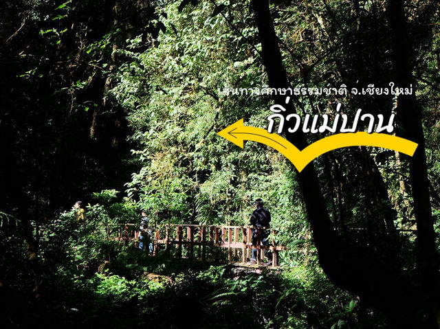 เดินศึกษาเส้นทางธรรมชาติที่"กิ่วแม่ปาน"เชียงใหม่🌳