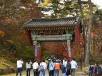 【🍁山寺の絶景】龍門寺の紅葉が幻想的！
