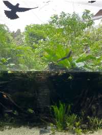River Wonders