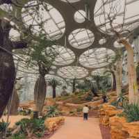 Shanghai Greenhouse Garden