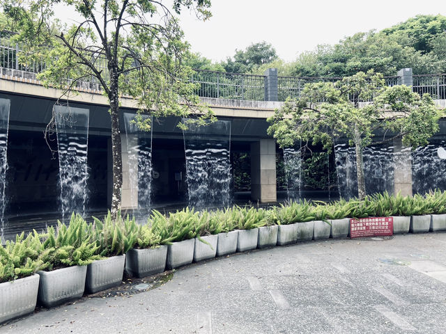 城市裡的浪漫驚喜｜大安森林公園站水舞秀