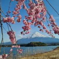 富士山（山梨県／静岡県）