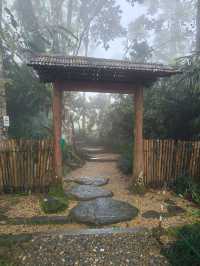 Misty Moments in a Hidden Japanese Village Above the Clouds
