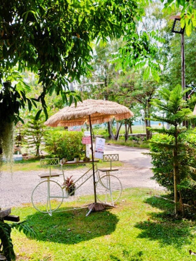 🌄 เพียงธารา คาเฟ่ แอนด์ รีสอร์ท