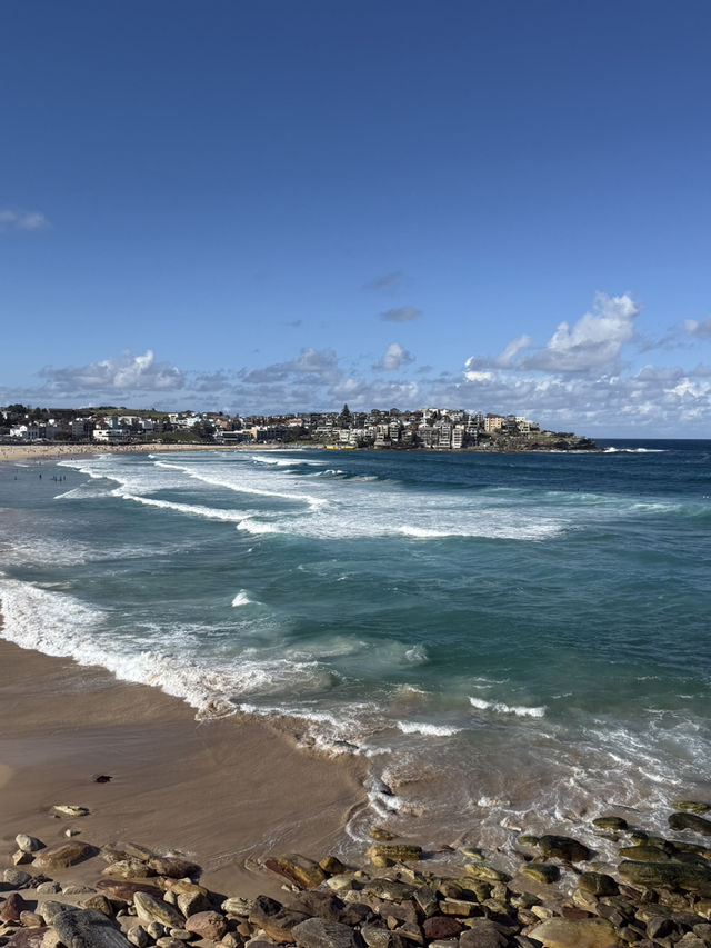 澳洲雪梨 我在Bondi 海灘拍到了人生照片！