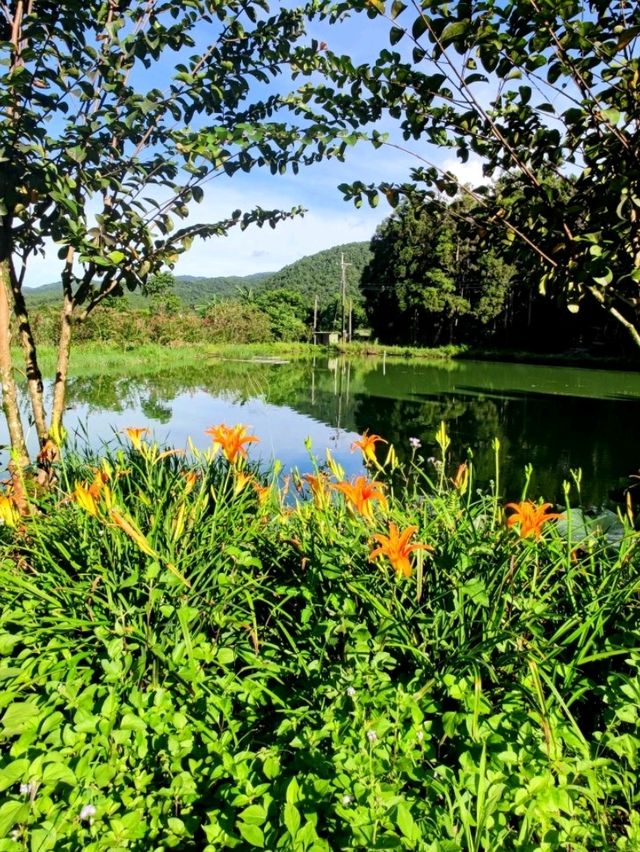 #雙連埤-宜蘭縣員山鄉