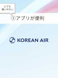 【韓国🇰🇷ソウル】羽田空港から大韓航空で行くソウル✈️