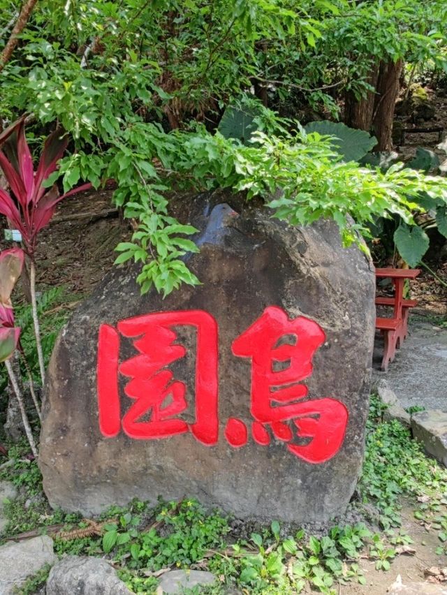 #鳳凰谷鳥園生態園區-南投縣鹿谷鄉