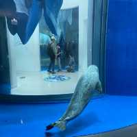 X Park Aquarium 