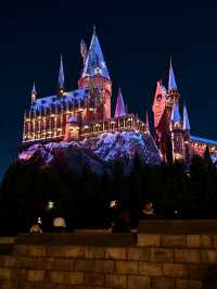 🎠🎢🎡유니버셜 스튜디오 재팬 후기 Magical day at Universal Studios Japan