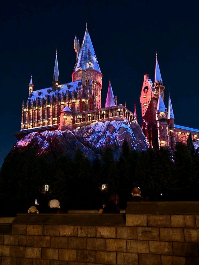 🎠🎢🎡유니버셜 스튜디오 재팬 후기 Magical day at Universal Studios Japan