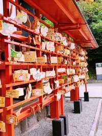 Tsurugaoka Hachimangū: Kamakura’s Cultural Heartbeat