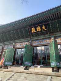 🇰🇷Jogyesa Temple in Seoul🇰🇷