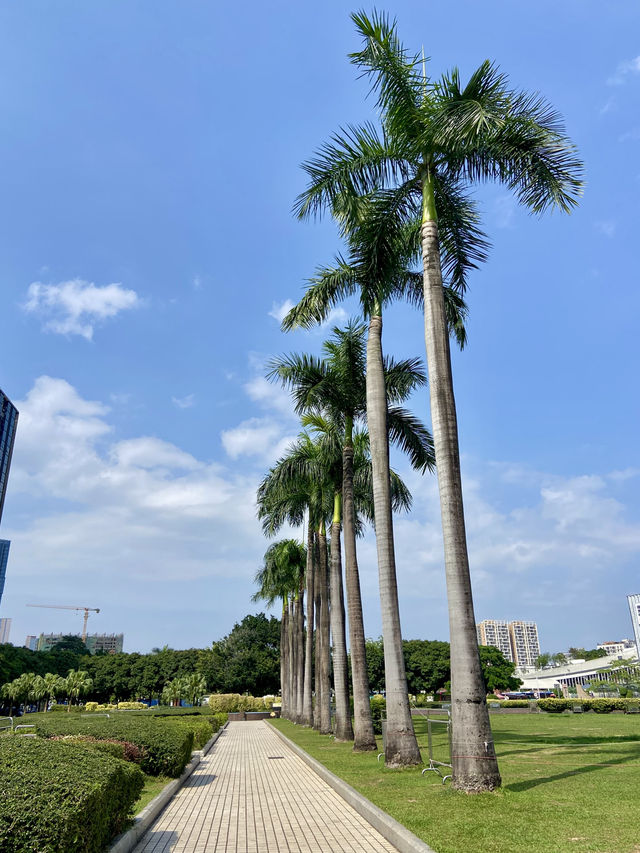 探尋深圳龍華的魅力✨💕日遊行程推薦🚶🏼🌴  