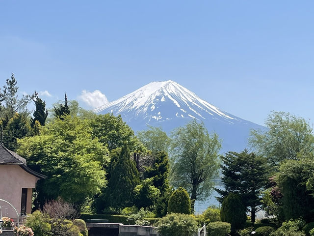 【山梨】富士山が綺麗に見える！河口湖音楽と森の美術館