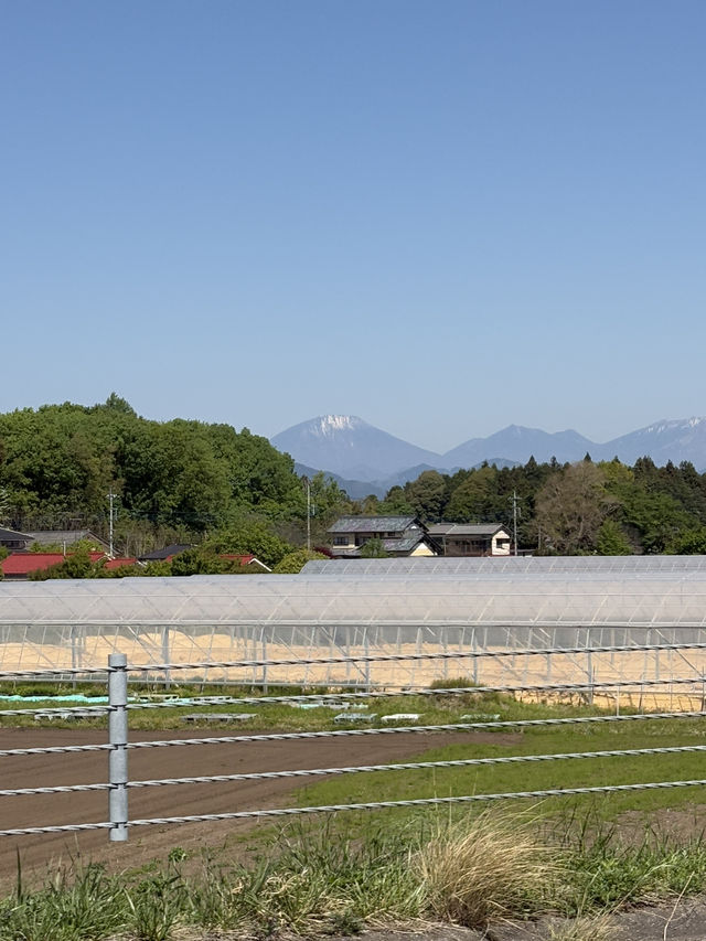 東北道ドライブ中に…男体山がまるで富士山みたい！