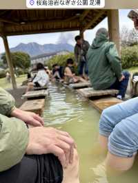 鹿兒島四日快閃追櫻