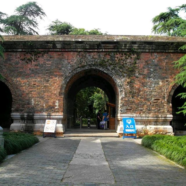 Nanjing Meihua Mountain (Plum Blossom Hill) – "Where Plum and Cherry Blossoms Meet"
