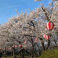 Kawanakajima Battlefield Park, Nagano