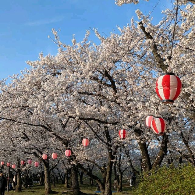 Kawanakajima Battlefield Park, Nagano
