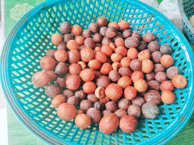 Nutmeg Factory