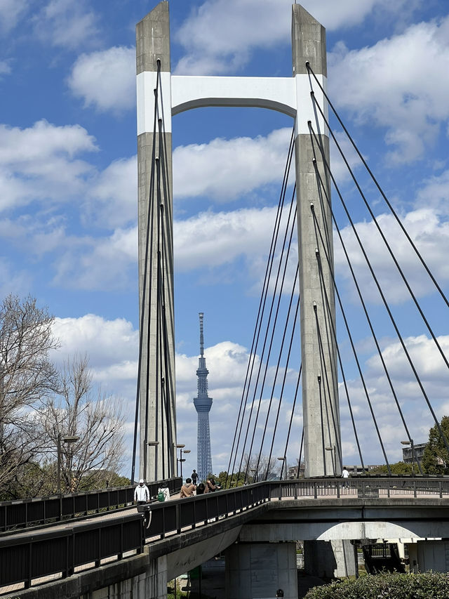 東京小眾景點推薦—清澄白河