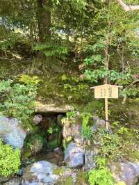黄金に輝く静寂の世界、京都・金閣寺の魅力