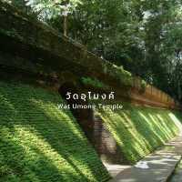 วัดอุโมง จังหวัดเชียงใหม่