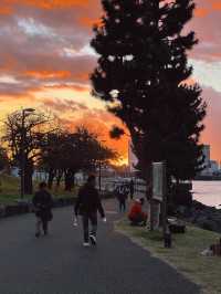 Odaiba เกาะสุดล้ำแห่งโตเกียว 