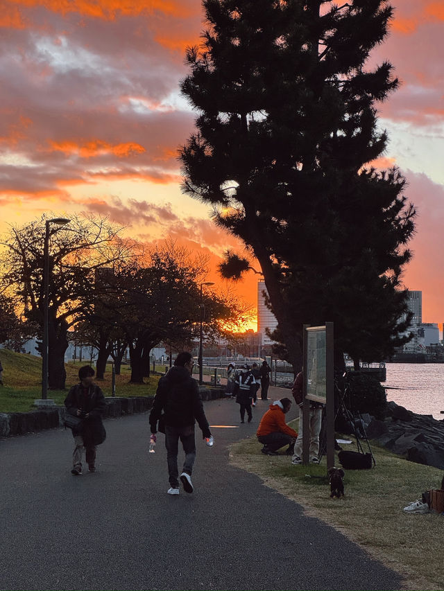 Odaiba เกาะสุดล้ำแห่งโตเกียว 