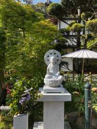 「なんで誰も教えてくれなかったの…？」岡寺に立った瞬間、思わずそんな言葉がこぼれた🇯🇵✈️🌏 