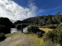 Family friendly Enchanted Walk and Wombats sightings 