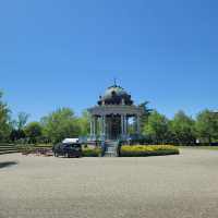 Tsuruma Park: A Cherry Blossom Escape in Nagoya