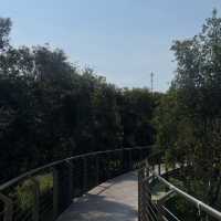 Miracle of Natural ระยอง