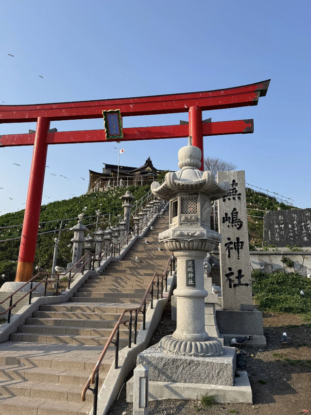🇯🇵 Japan | Aomori’s Most Underrated Sakura Spot: Hachinohe 🌸