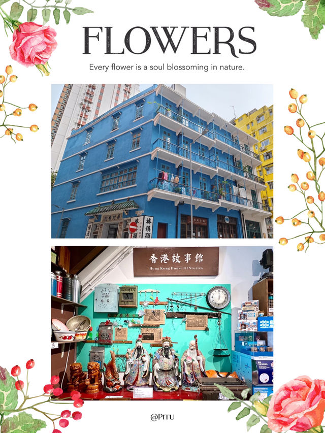 體驗香港故事，了解香港文化
