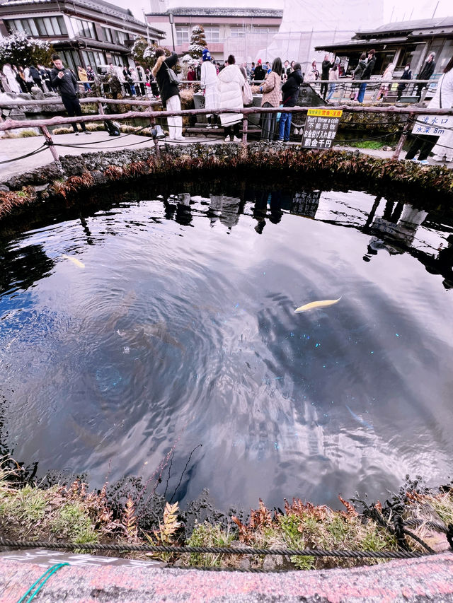 ［東京旅行］忍野八海-富士山旁的人間仙境☁️