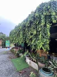 บ้านสวนออแกนิค จันทบุรี