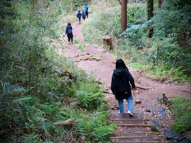 Daibutsu Hiking Trail Totally Rocks