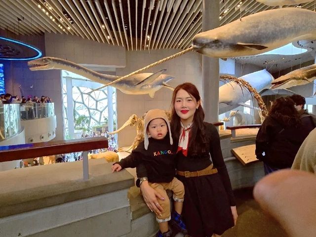 Shanghai Natural History Museum
