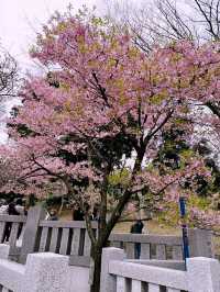 Maruyama Park